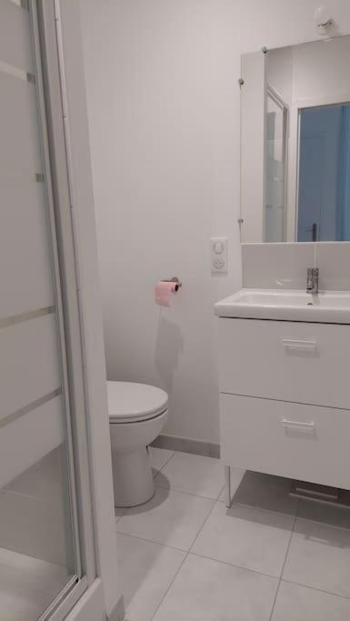 נאנט Appartement 2 Pieces Proche Cathedrale מראה חיצוני תמונה